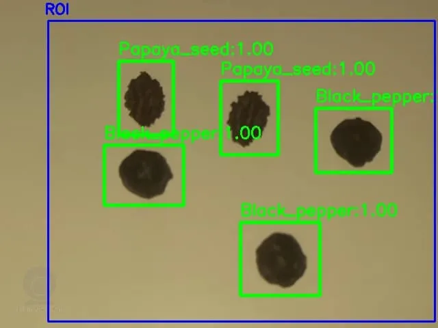 AI Inspection